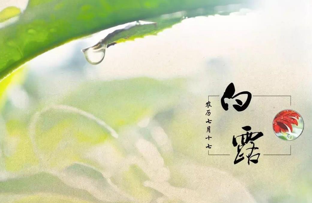 最新白露溫馨文藝唯美的秋天祝福語(yǔ)大全_2019白露秋天說(shuō)說(shuō)精選