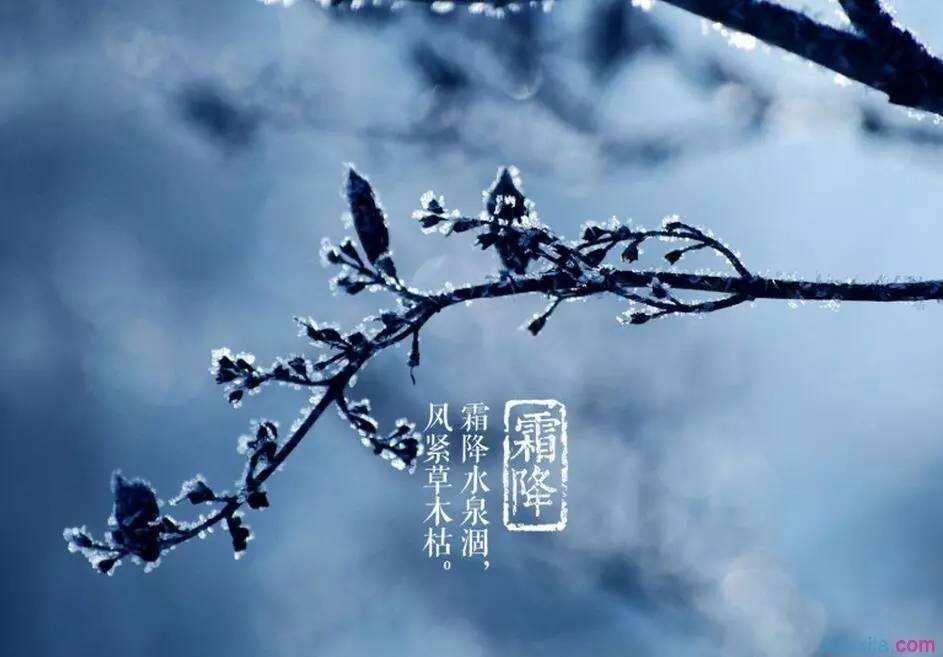 2019好朋友霜降養(yǎng)生問(wèn)候語(yǔ)_寒露霜降給朋友的貼心問(wèn)候短信150句