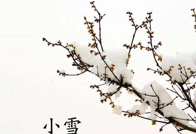 有關(guān)小雪節(jié)氣的祝福語_今日小雪暖心問候祝福短信