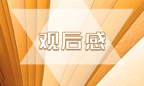 2019觀《官場現形記》有感800字4篇