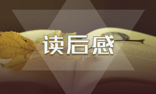 《穆斯林的葬禮》讀后感大全-讀書心得5篇