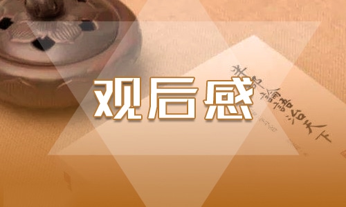 愛國影片《雞毛信》觀看心得優(yōu)秀范文5篇