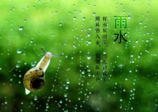 關(guān)于節(jié)氣雨水的諺語_雨水節(jié)氣的民間諺語