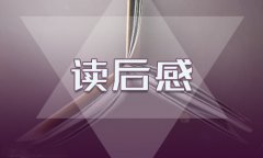 小桔燈讀書心得600字五篇