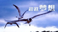 2020年海南大學(xué)各省招生錄取分?jǐn)?shù)線查詢