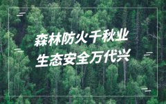 2020清明節(jié)森林防火標(biāo)語(yǔ)