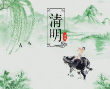 關(guān)于清明節(jié)的作文450字精選5篇