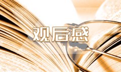 《首席執(zhí)行官》觀后感800字精選范文5篇