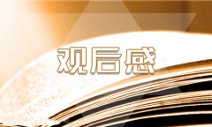 勵志影片《少年派的奇幻漂流》觀后感最新范文800字5篇