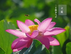 關(guān)于立夏的俗語或諺語_二十四節(jié)氣立夏諺語