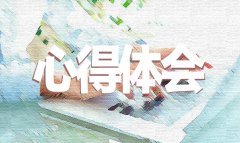 新教師工作心得體會(huì)范文2020精選