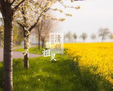 2020中小學(xué)生清明節(jié)祭英烈祝福留言寄語